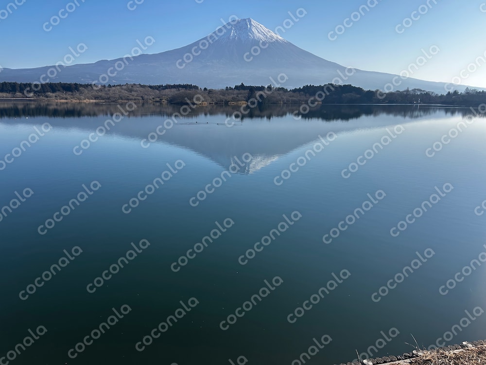 湖面に映る富士山の風景写真素