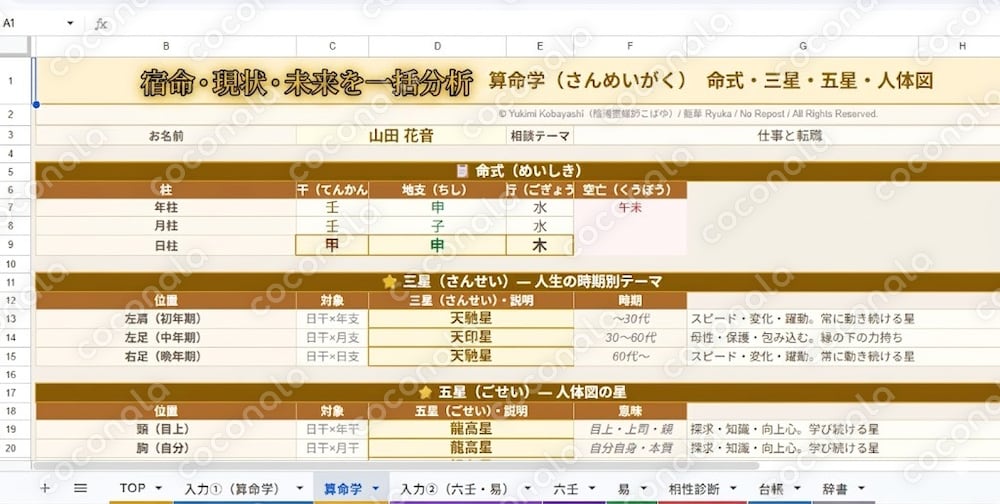 算命学・六壬・易を一括出力する統合鑑定ツール販売
