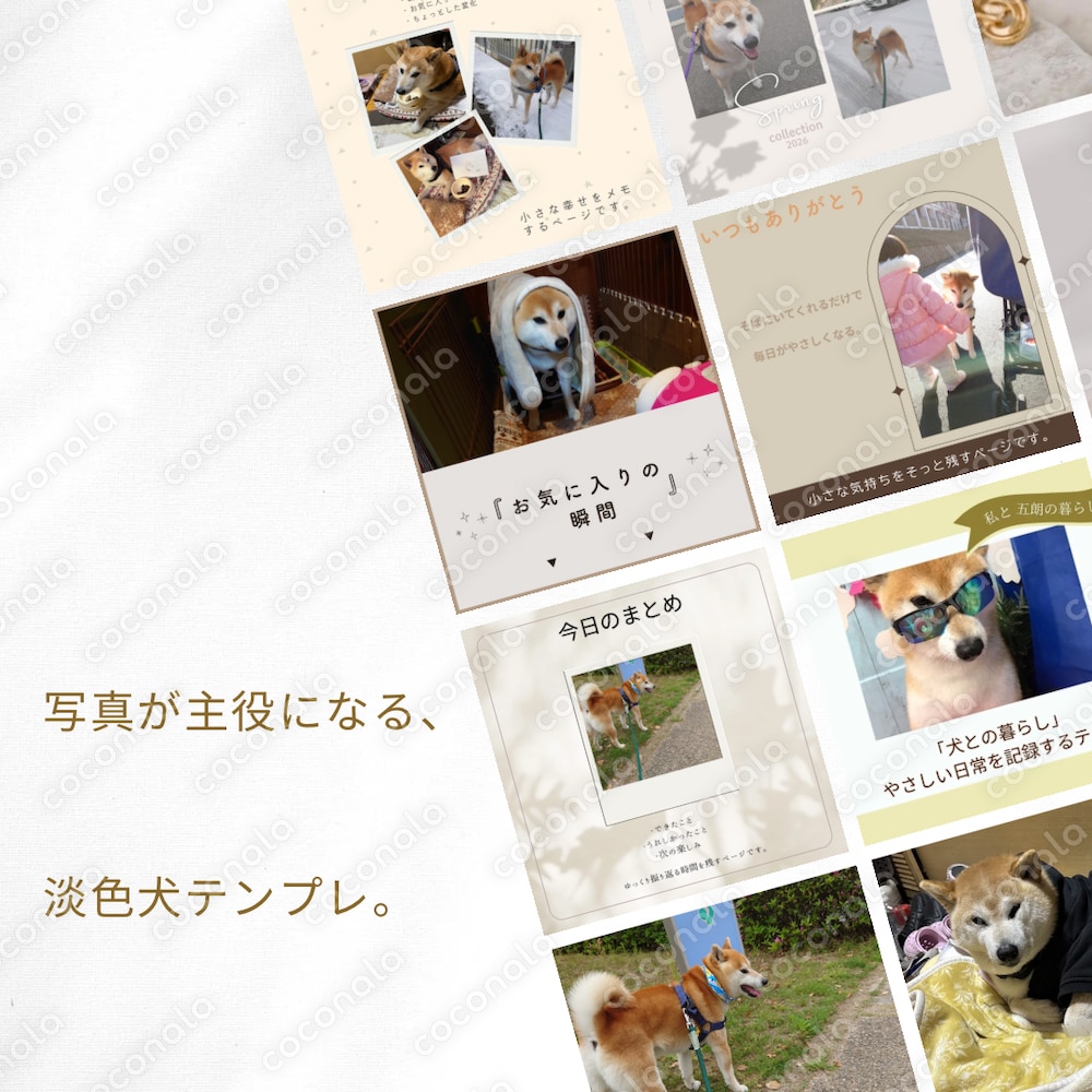 ⭐ 犬とのやさしい暮らし｜淡色Instagramテンプレ（6枚セット）