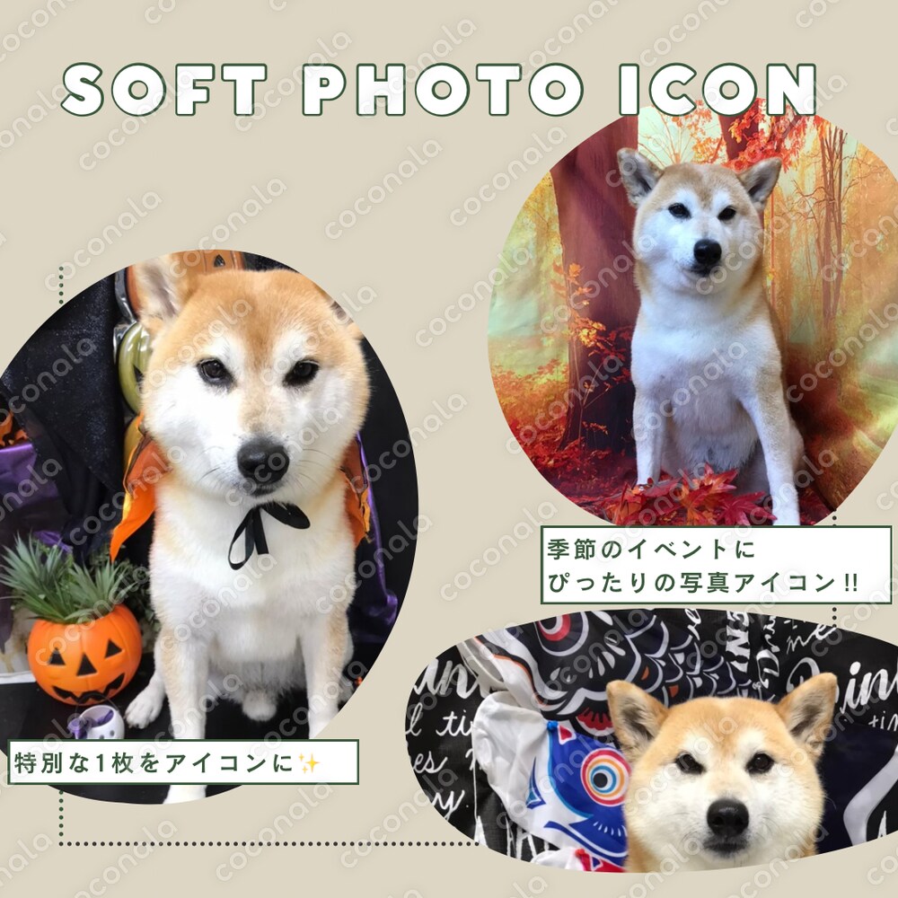 SNS アイコン　素材