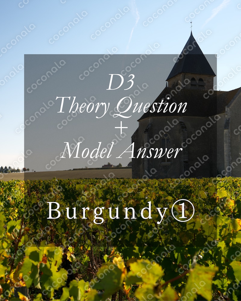 WSET Diploma D3対策｜想定問題＋答案例 Bourgogne 設問①