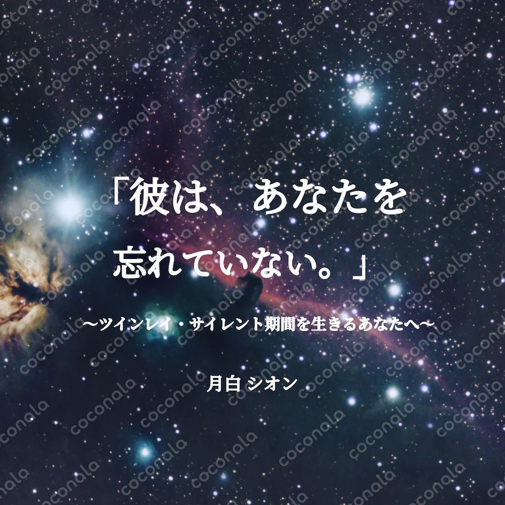 ツインレイ サイレント期間チェイサー｜彼の本音と過ごし方 PDF電子書籍「彼はあなたを忘れていない」