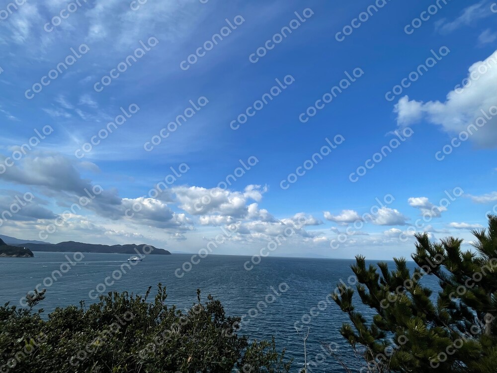 海　青空　素材