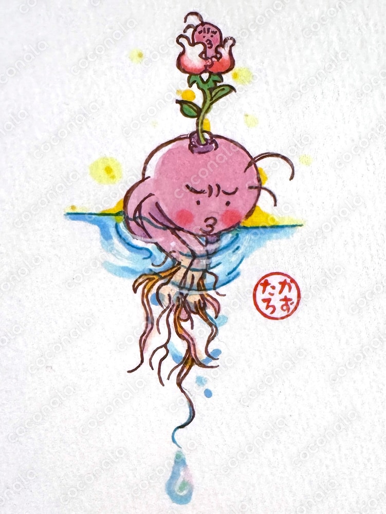 球根