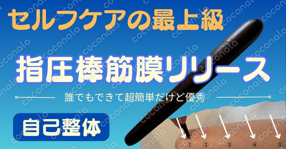 指圧棒筋膜リリース★誰でもできる超簡単指圧棒で自己整体★E-BOOK