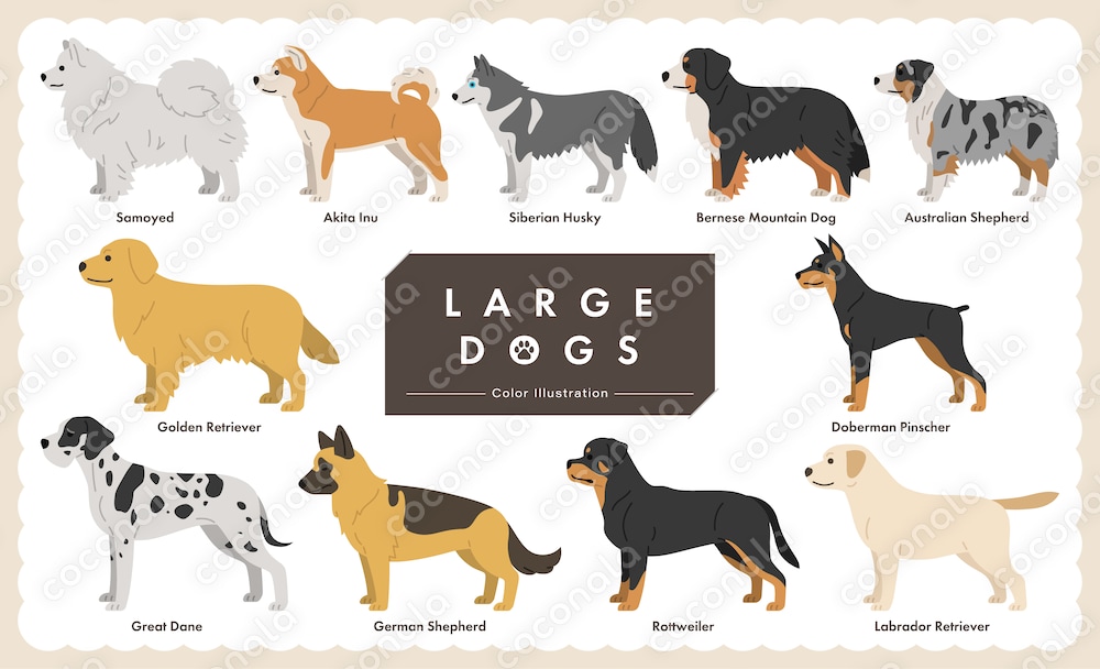 ちょうどいい大型犬イラストセット＜ベクター素材＞