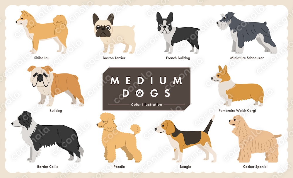 ちょうどいい中型犬イラストセット＜ベクター素材＞