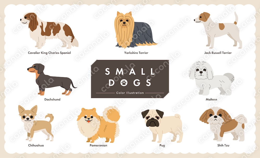 ちょうどいい小型犬イラストセット＜ベクター素材＞