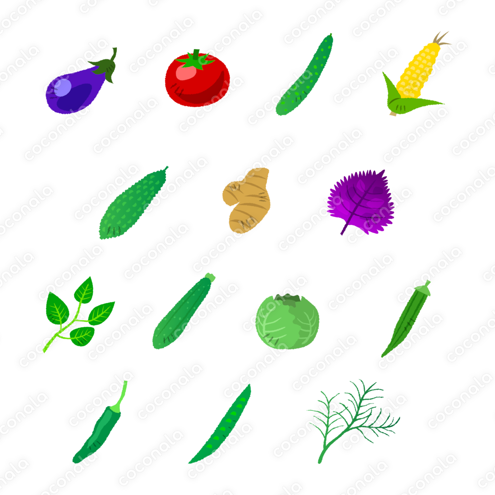夏野菜イラスト素材販売Vol.1/商用利用OK