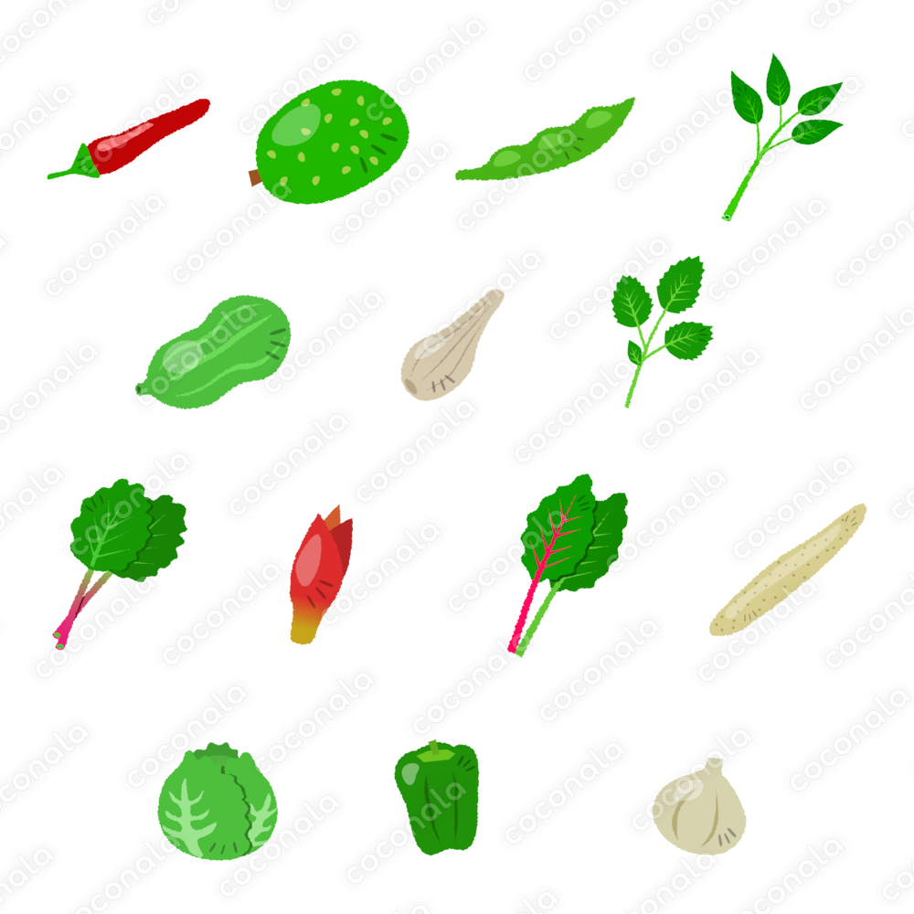 夏野菜イラスト素材販売Vol.2/商用利用OK