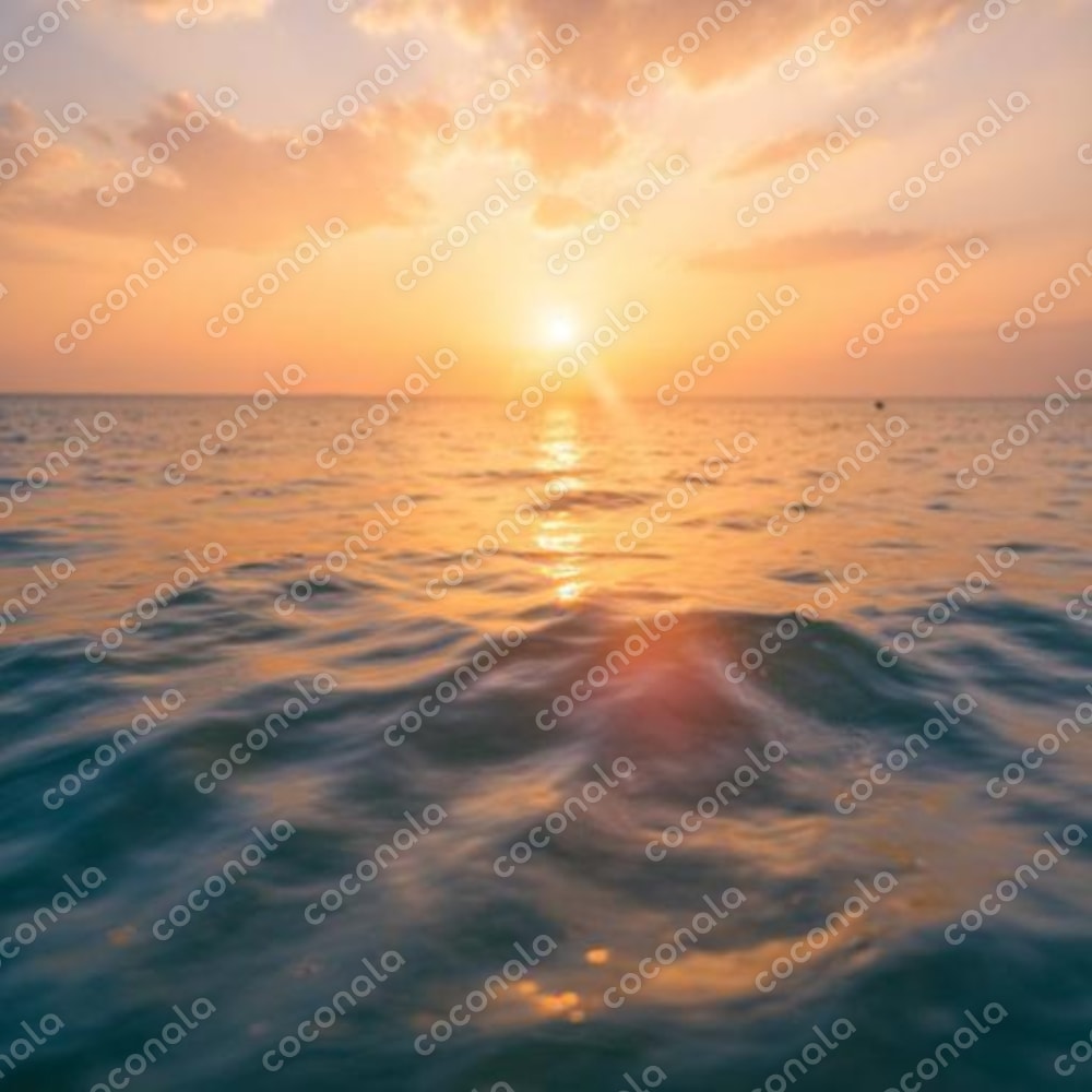 夕陽がまぶしい海の風景