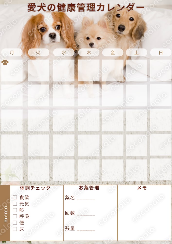 愛犬の健康管理カレンダー｜通院・お薬・体調記録テンプレ