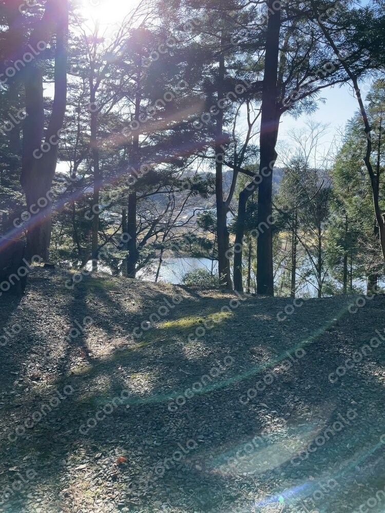 景色