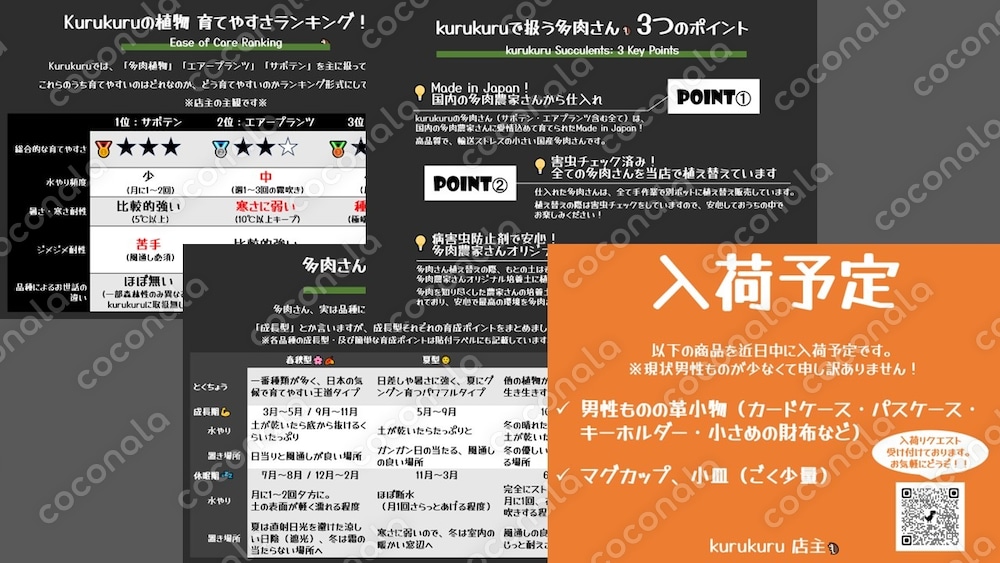 【パワーポイントで編集可能】店舗向けPOP_全12P・9種（A4サイズ横向き）