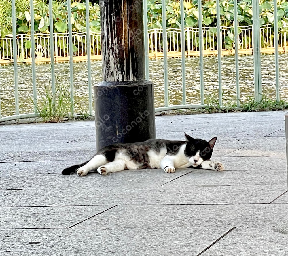まったり。