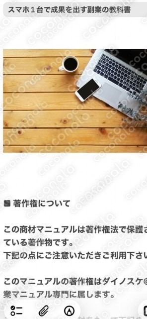【半自動化マニュアル】ほぼコピペのかんたん在宅副業★先着7名