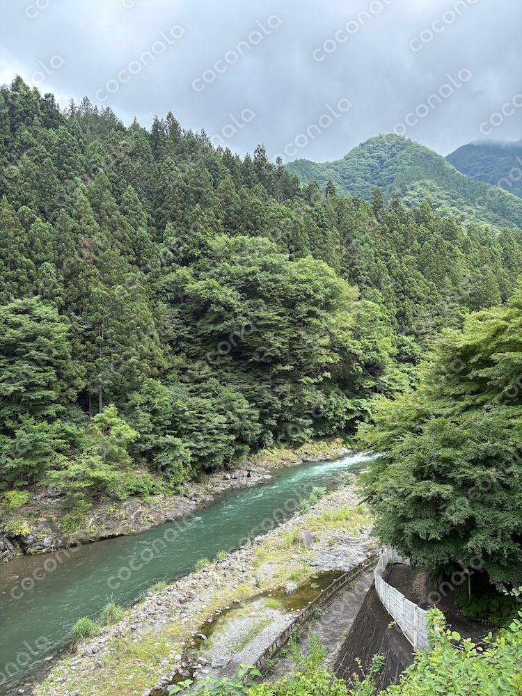 エメラルドグリーンの渓流と深緑の森｜癒しの自然風景写真素材
