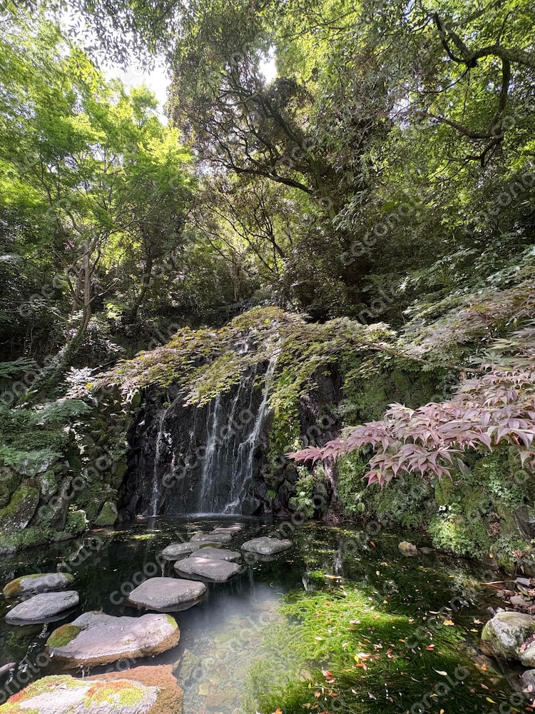 木漏れ日に輝く滝と飛び石の庭園風景｜癒しの自然写真素材