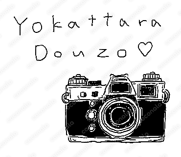 挿絵　オシャレ　モノクロ　イラスト　手書き　カメラ　一眼レフ　シャッター　写真