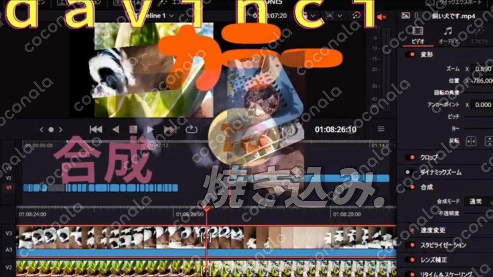 DavinchiResolveにて編集様子