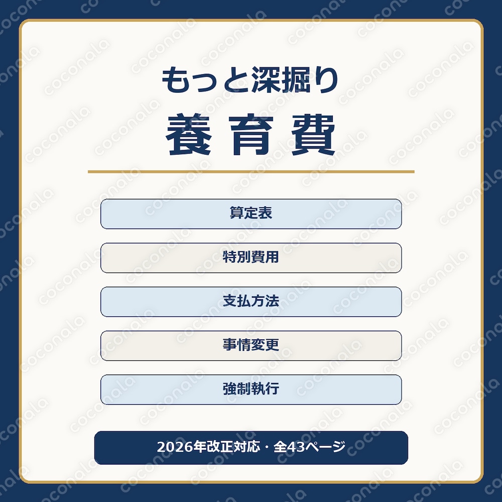 もっと深掘り養育費｜2026年改正対応・全43ページ